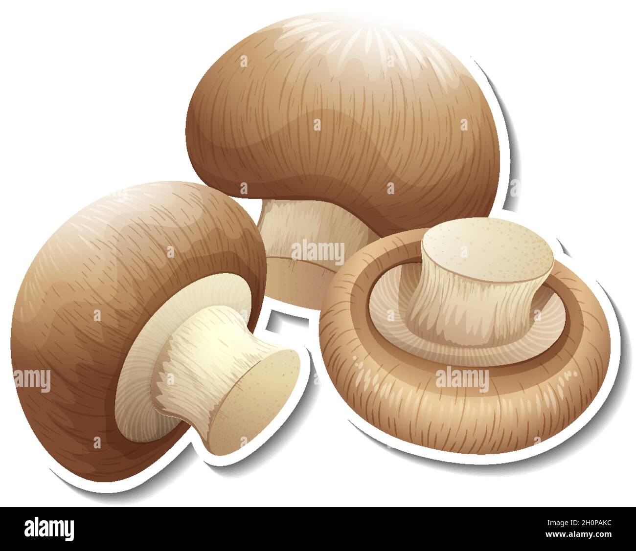 Autocollant champignon champignon sur fond blanc Image Vectorielle Stock -  Alamy