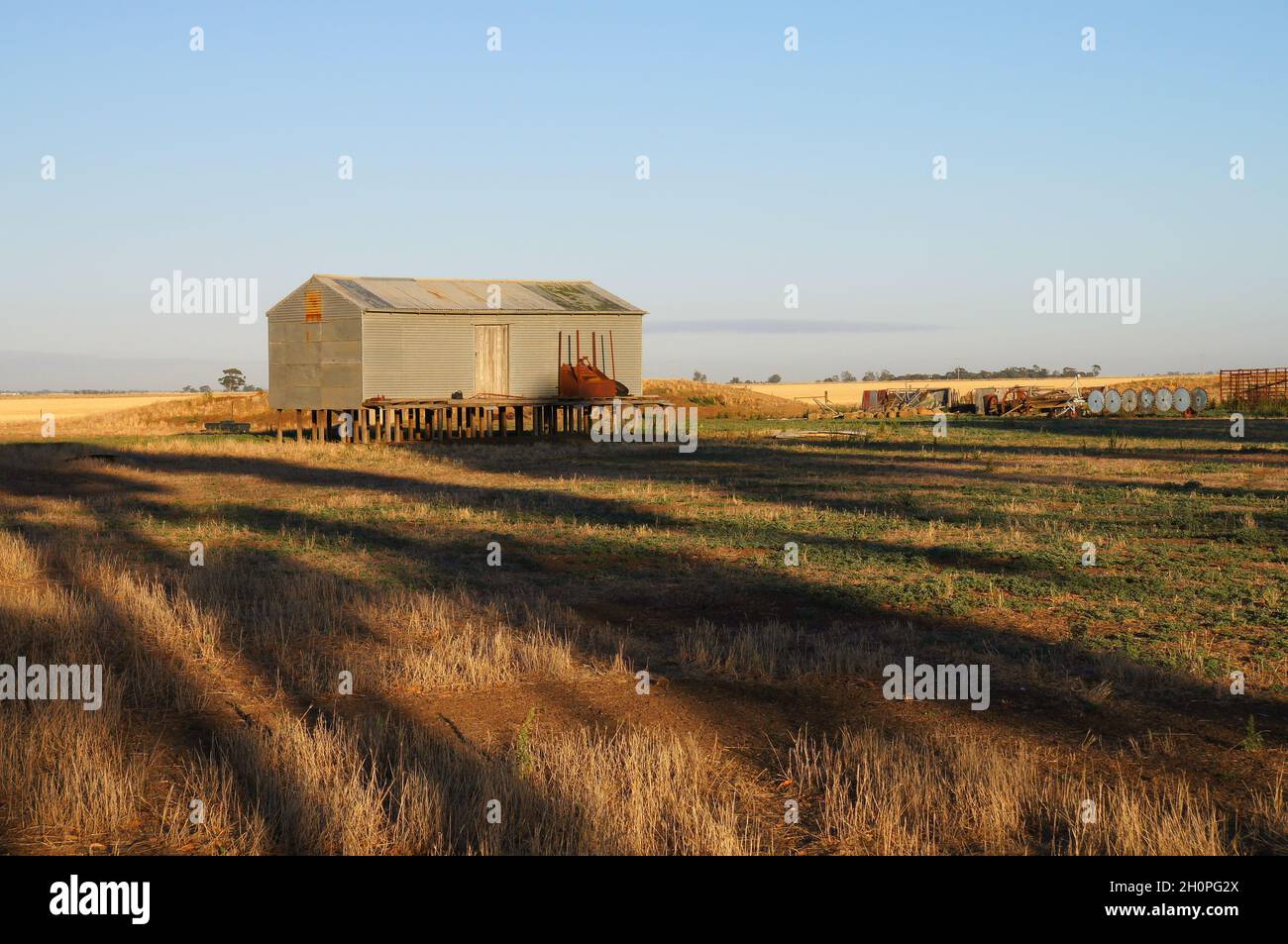 Une ferme caractéristique se retrouve dans un enclos peu après le lever du soleil près de Dooen, Horsham, Wimmera, Victoria, Australie Banque D'Images