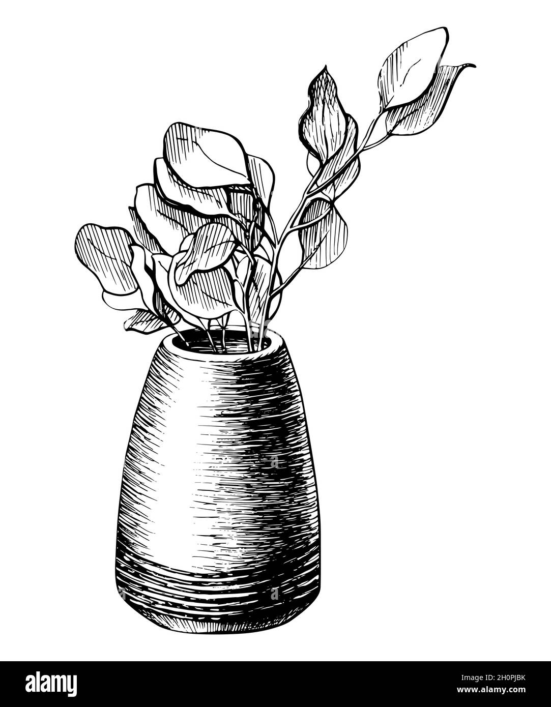 Fleur dans une ligne de pot dessin graphique carte postale. Branche d'arbre dans une illustration vectorielle de vase dessinée à la main. Esquisse de printemps nature d'une plante isolée sur fond blanc Illustration de Vecteur