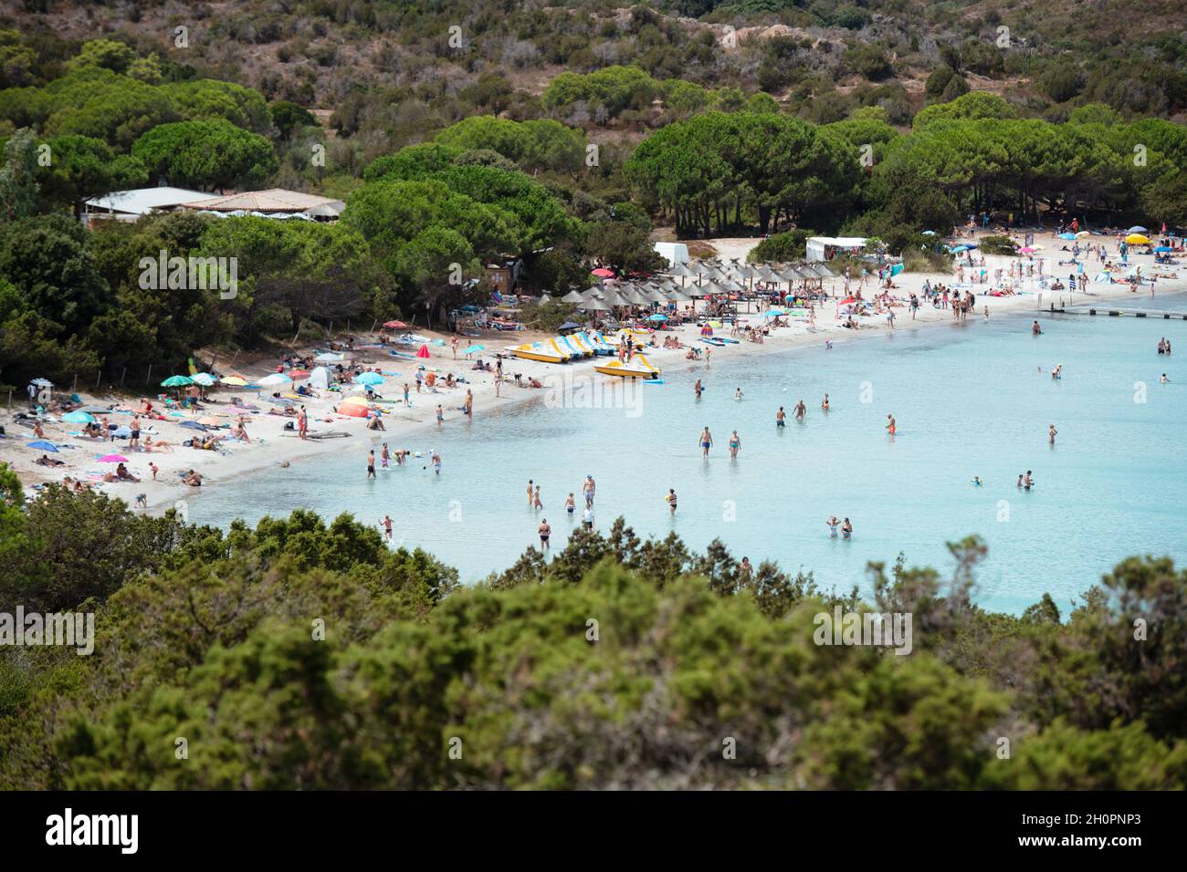 Corse: plage dans la baie de Santa Giulia avec des touristes et de l'eau translucide, en Corse du Sud Banque D'Images