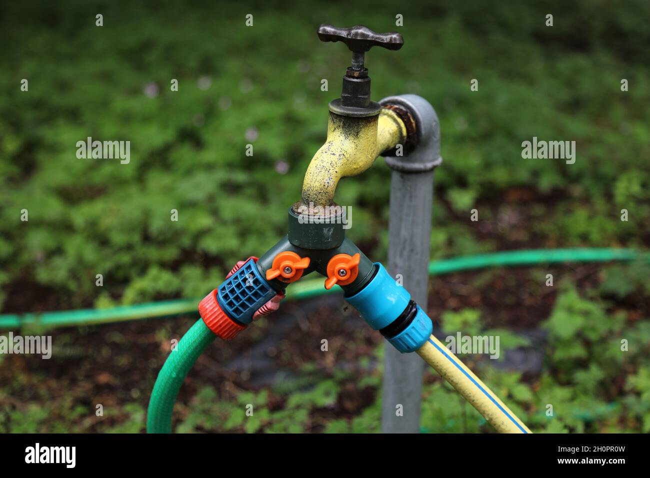Raccord de robinet de tuyau d'arrosage avec séparateur en y double.Équipement  de jardinage utile Photo Stock - Alamy