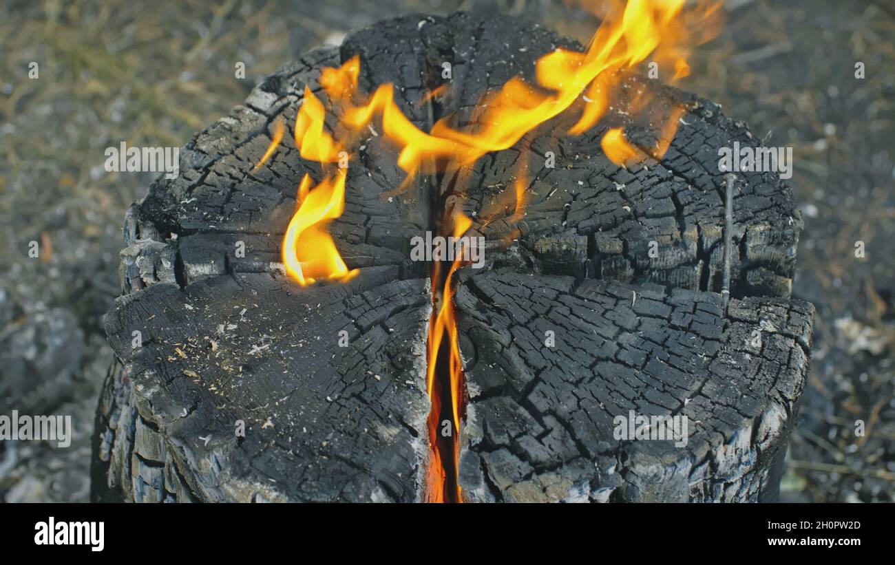 Bougie en rondins suédoise ou finlandaise.Feu brûlant de l'intérieur de la  bûche de bois la nuit.Cuisson sur un feu Photo Stock - Alamy