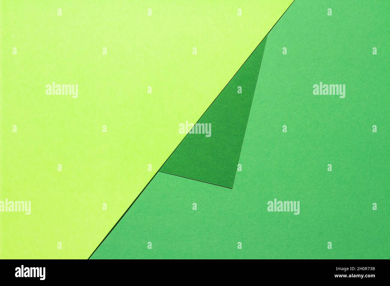 Composition avec de grandes feuilles de papier en vert. Banque D'Images