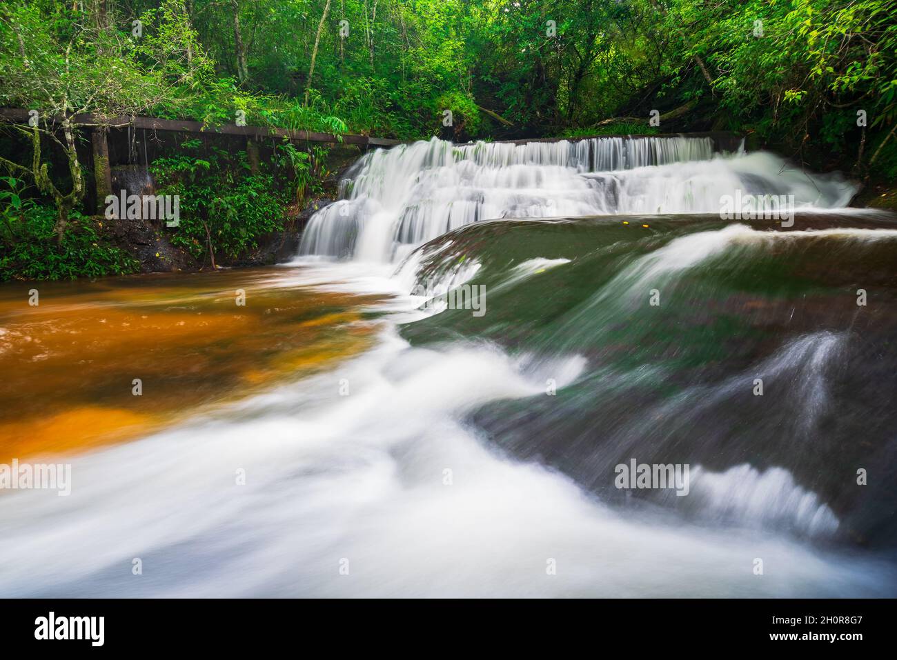 belle cascade tropicale dans la forêt profonde Banque D'Images