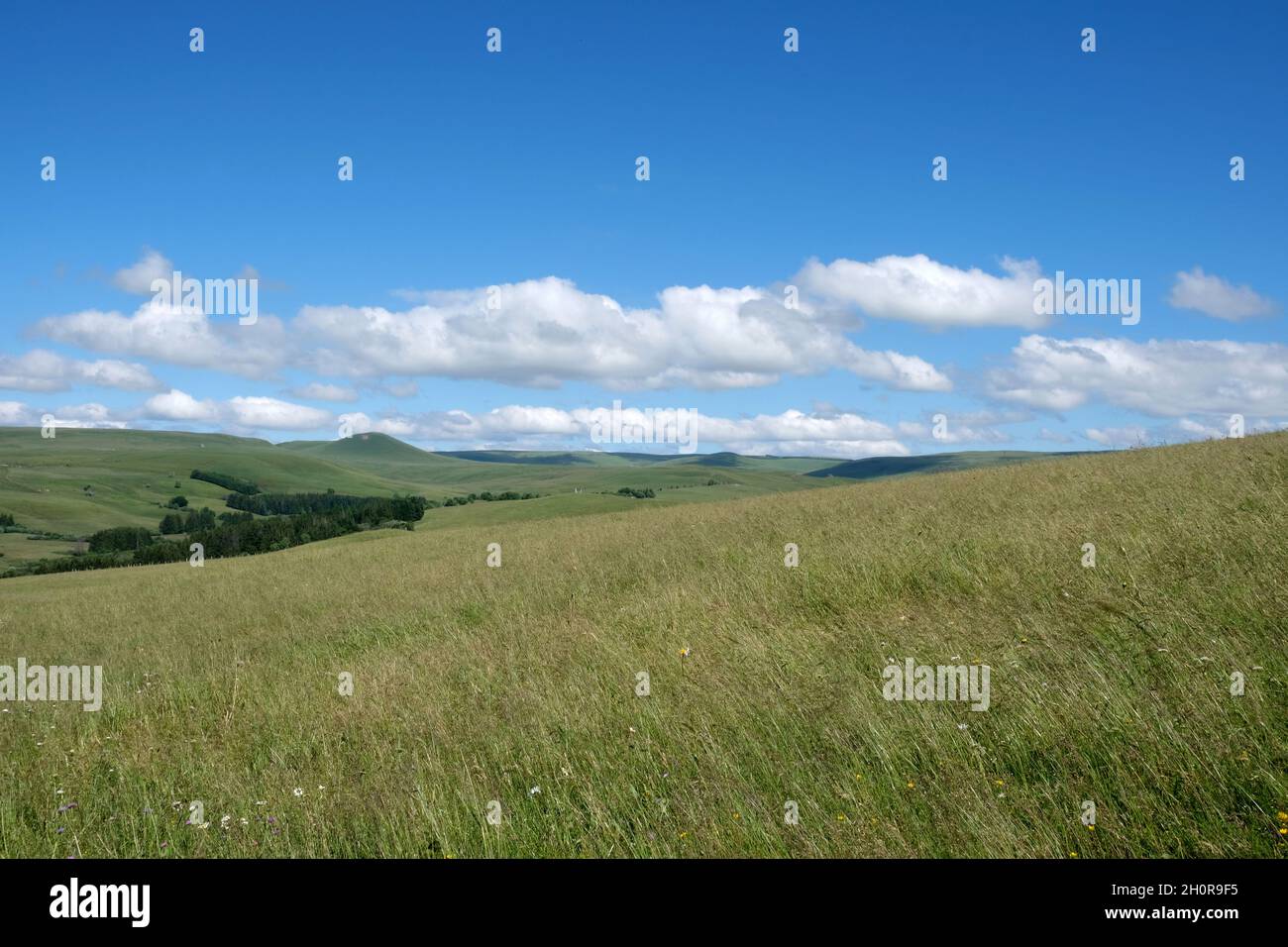 Paysage du plateau de Cezallier à Montgreleix (centre sud de la France).En arrière-plan, le Mont Chamaroux Banque D'Images