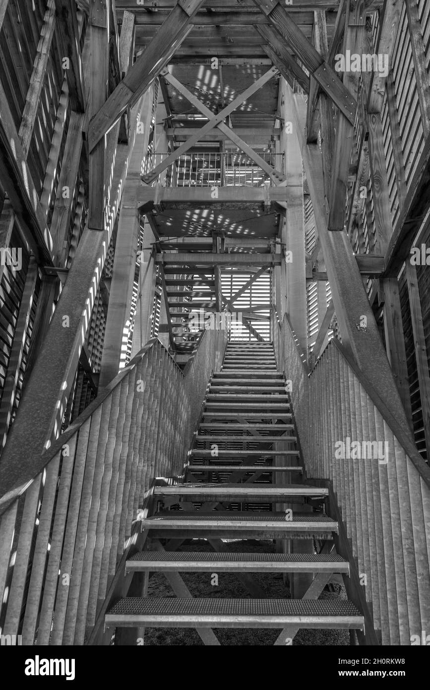 Escalier dans la tour d'observation du parc régional Rhein-main, Floersheim, Allemagne Banque D'Images