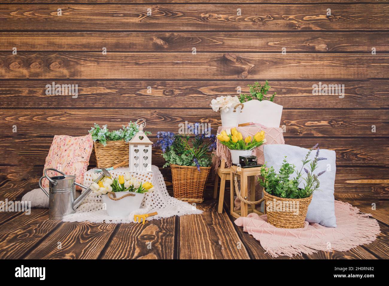 Zone photo.Arrière-plan en bois avec décors de printemps de fleurs dans des boîtes et des pots en bois, oreillers. Tulipes jaunes, boîte d'eau en métal.Copier l'espace pour le texte. Banque D'Images