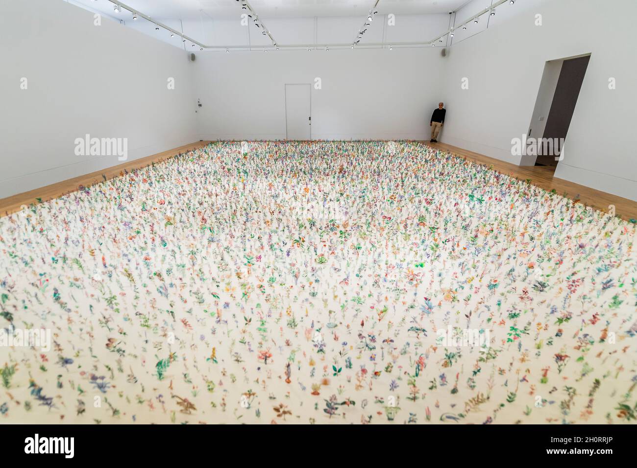 Londres, Royaume-Uni.14 octobre 2021.Blackfield, une installation au sol composée de plus de 17,000 fleurs gravées en acier, installé à la main - Zadok Ben-David (en photo): Réserve naturelle à Kew Gardens.C'est sa première exposition solo au Royaume-Uni depuis plus de dix ans.La réserve naturelle est située dans la Galerie d'art botanique Shirley Sherwood, du 16 octobre 2021 au 27 mars 2022.Crédit : Guy Bell/Alay Live News Banque D'Images