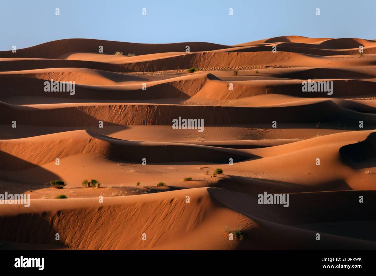 Dunes de sable dans le désert, l'Arabie Saoudite Banque D'Images