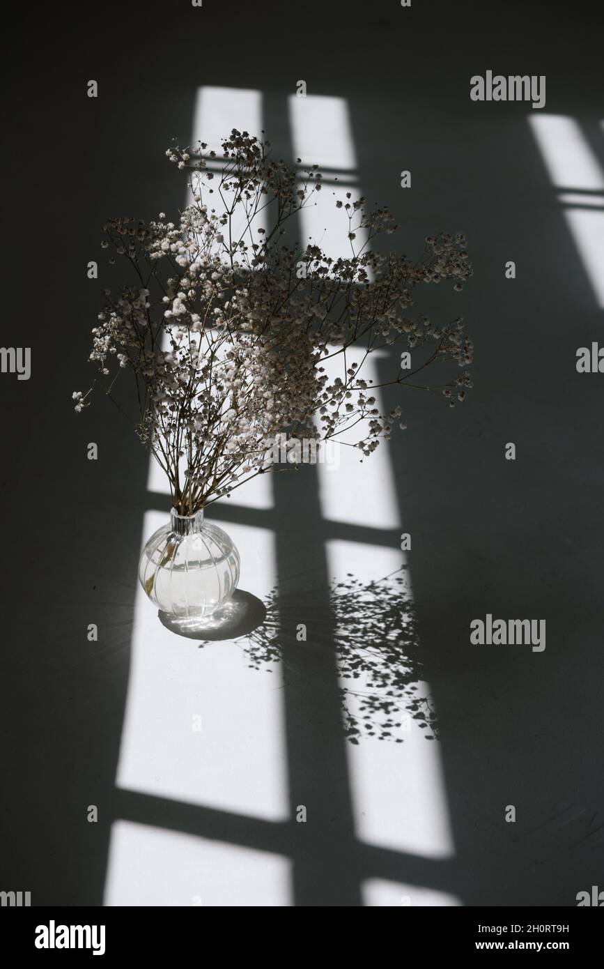Bouquet de fleurs dans un vase en verre à la lumière du matin Banque D'Images