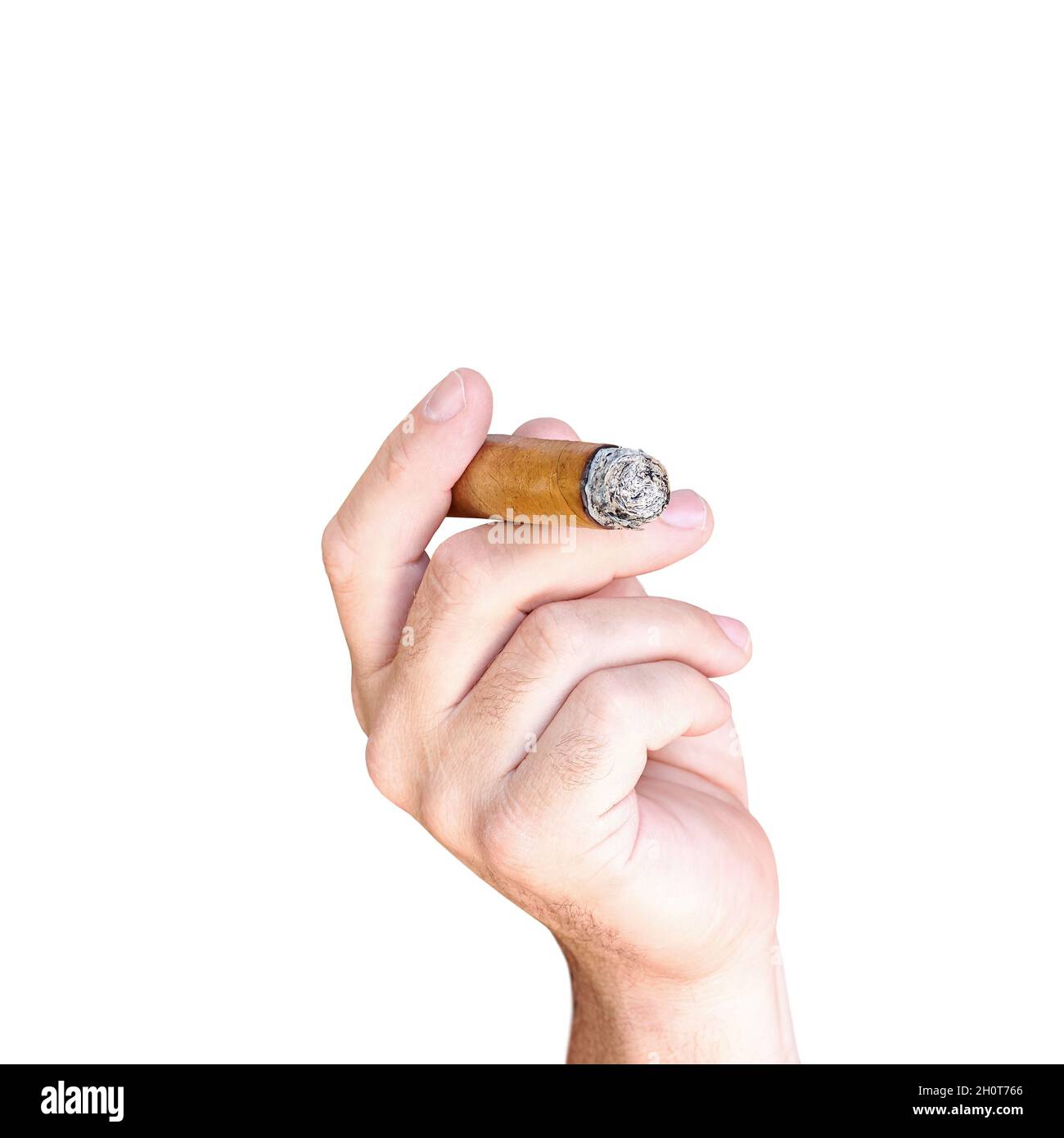 Main masculine d'un fumeur tenant un cigare cubain brûlant, isolée sur fond blanc Banque D'Images