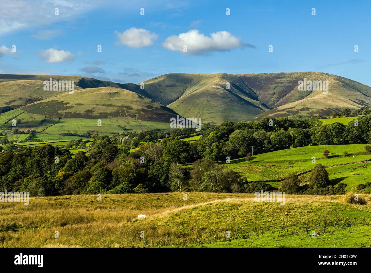 Une vue imprenable sur une partie de la gamme Howgill Fells près de Sedbergh à Cumbria en octobre Banque D'Images