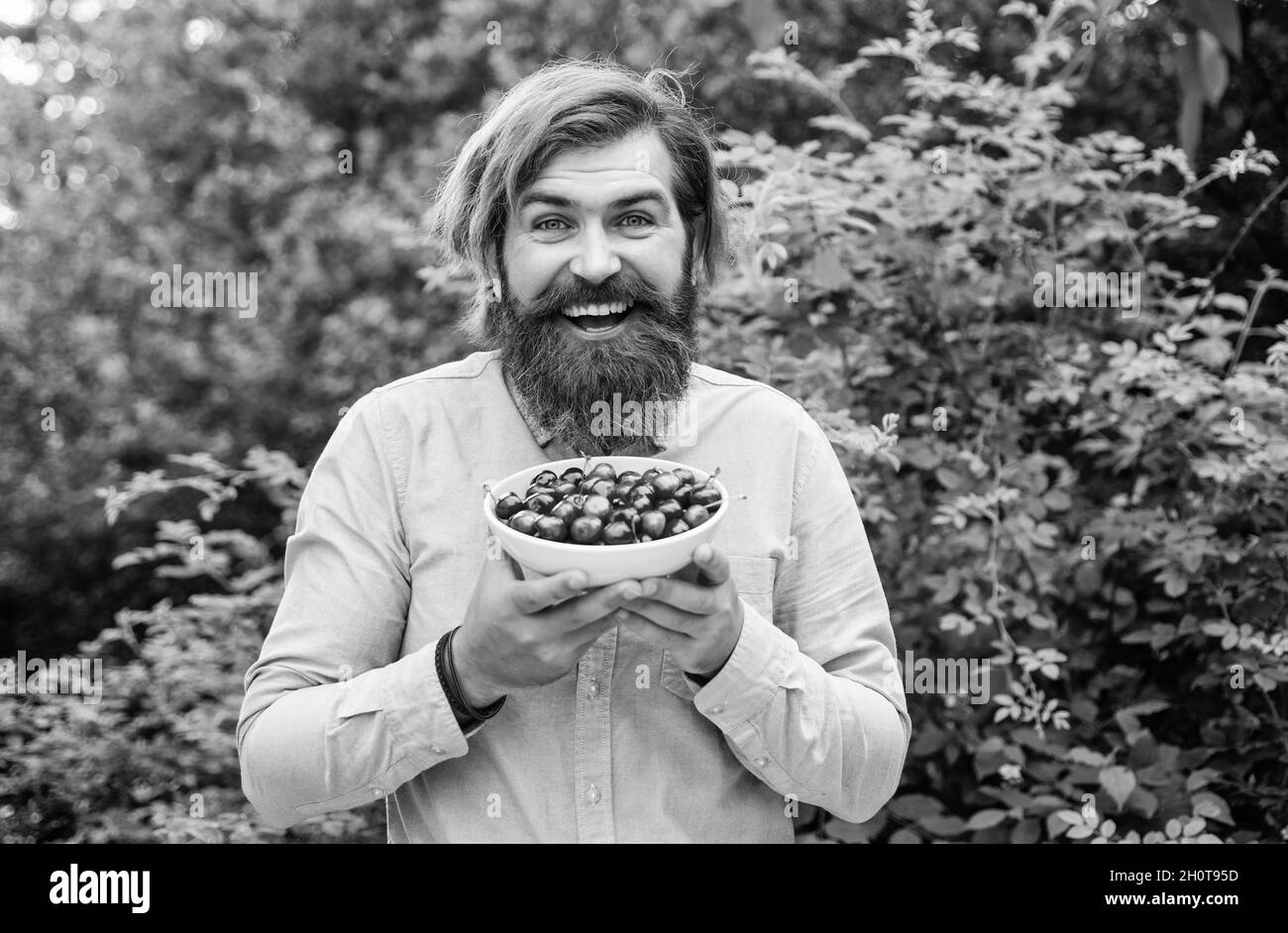 récolte d'été. fruits pleins de vitamines. nourriture saine et alimentation. concept de régime. hipster mûr brutal avec bol de baies rouges. naturel et biologique Banque D'Images
