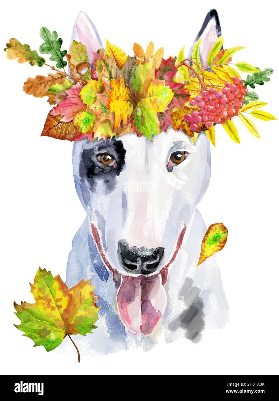 Chien mignon dans une couronne de feuilles d'automne.Motifs pour t-shirt à motif chien. Illustration aquarelle du Bull terrier Banque D'Images