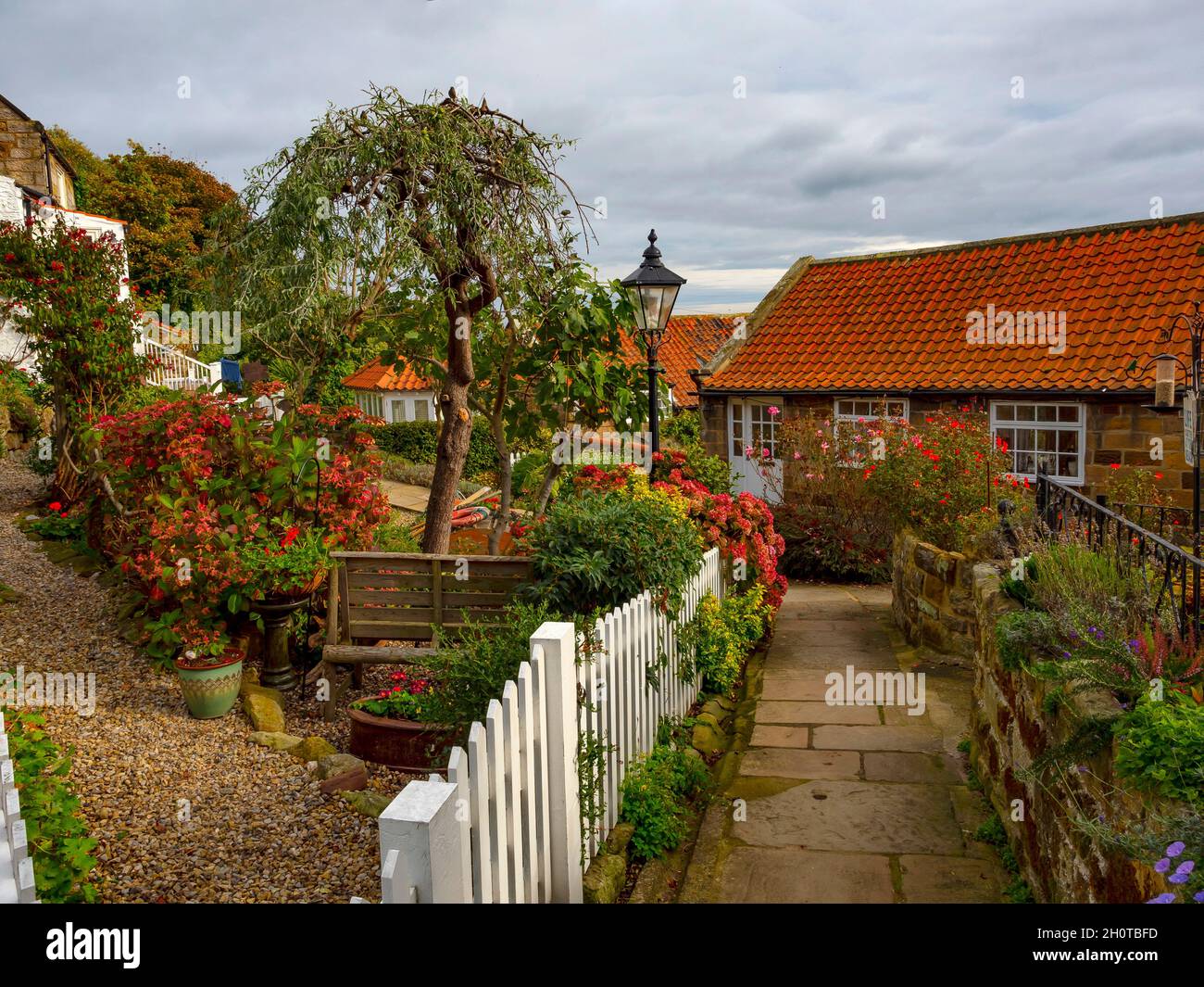 Au début de l'automne, les petits jardins du village de Runswick sont bien entretenus et colorés Banque D'Images