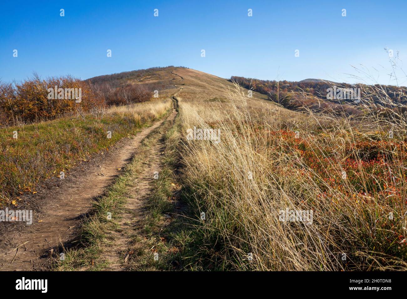 Automne dans les montagnes de Bieszczady. Banque D'Images