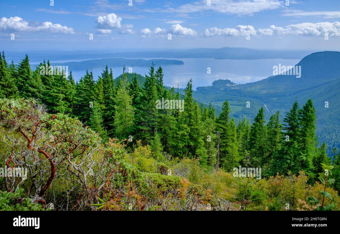 Vue sur la carte postale du Puget Sound depuis le sommet du mont Walker à Washington Banque D'Images