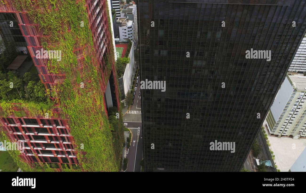 Hôtels à Singapour avec le bel hôtel Oasia, Une tour verdoyante de verdure au coeur du quartier d'affaires central dense de Singapour Banque D'Images