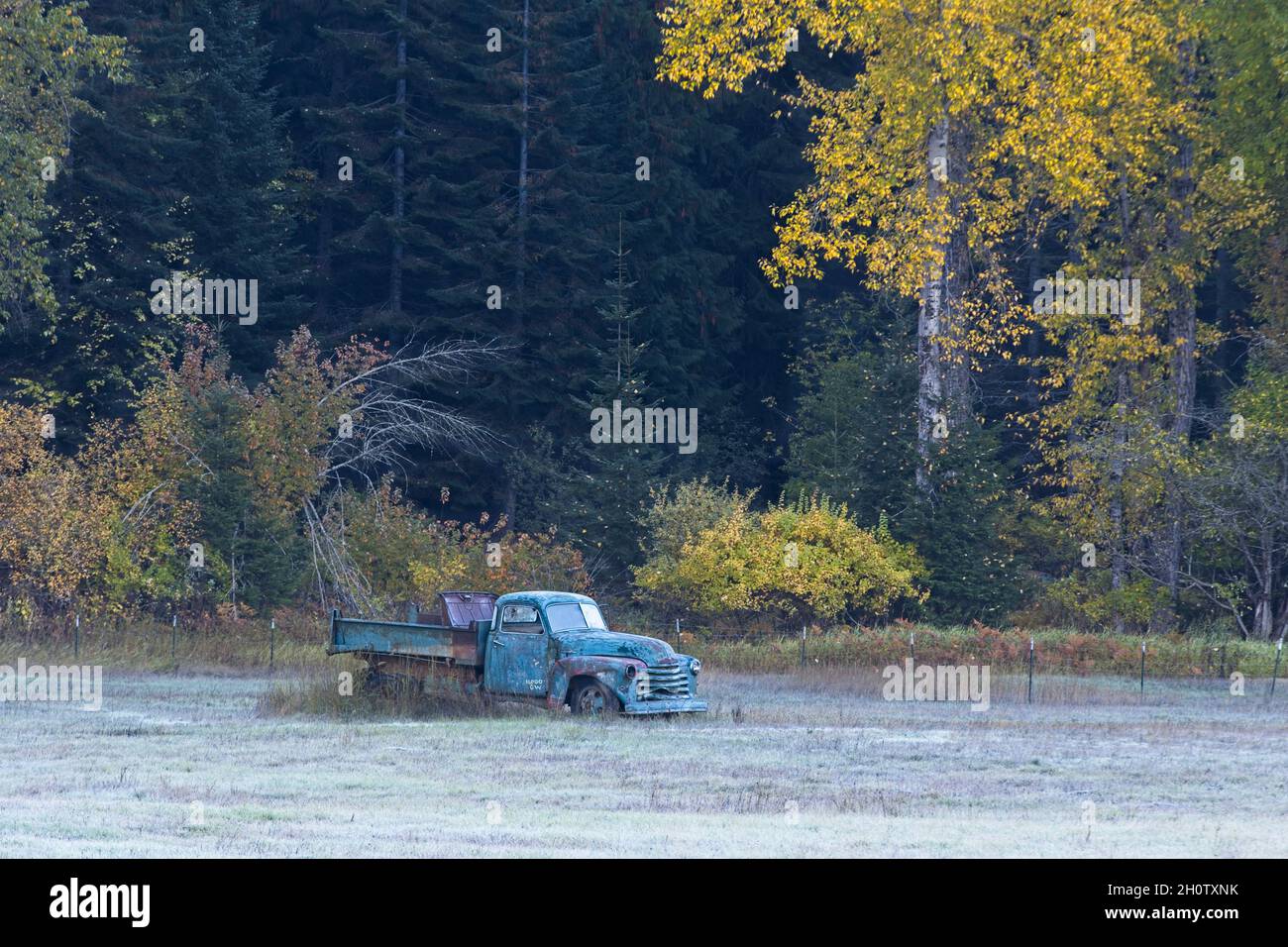 Un vieux camion antique est installé dans un champ par des arbres avec des feuilles jaunes en automne dans le nord de l'Idaho. Banque D'Images