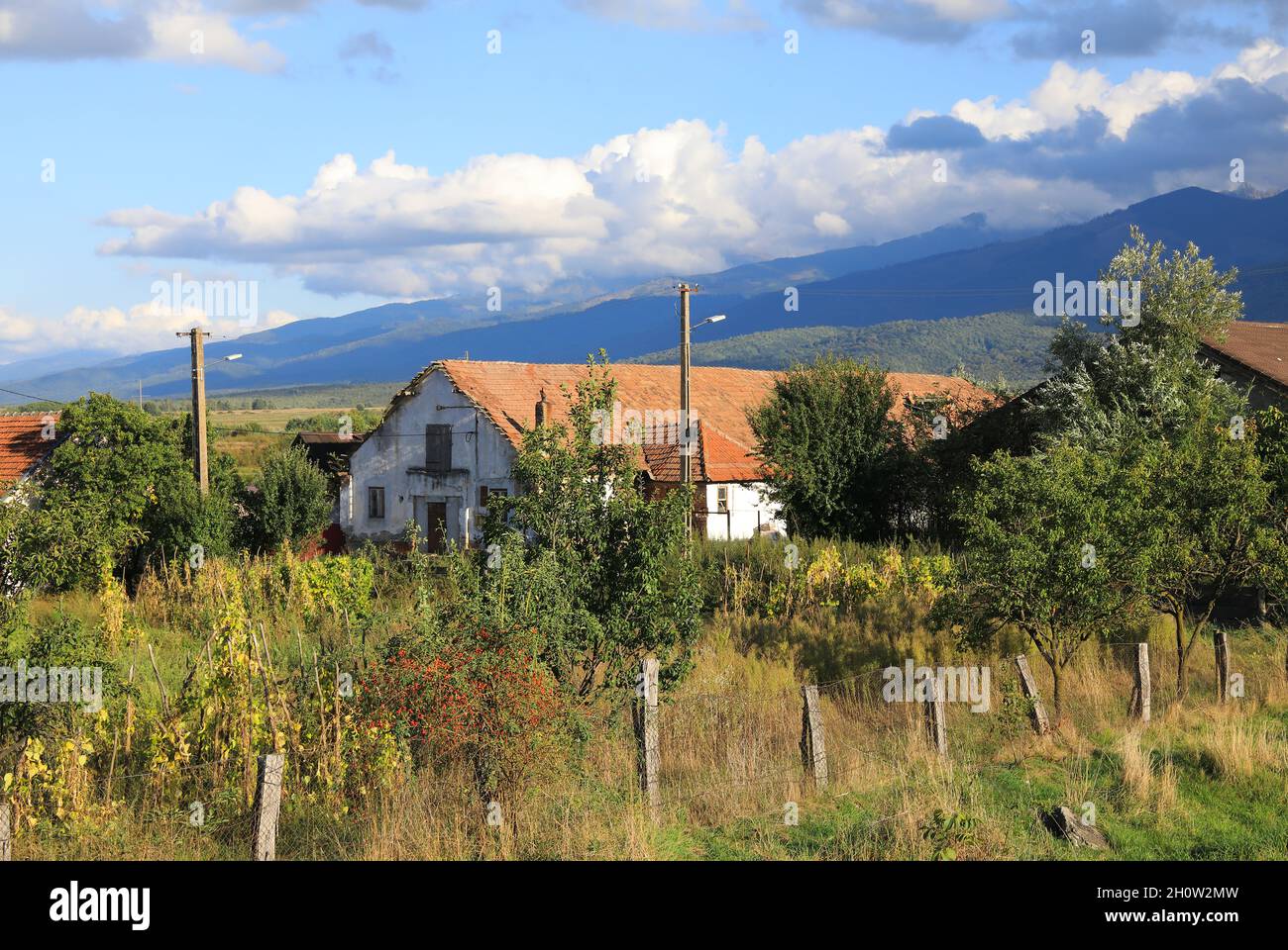 Vue vers les Carpates depuis le village de Cartisoara, sur Transfagarasan, en Transylvanie, Roumanie Banque D'Images