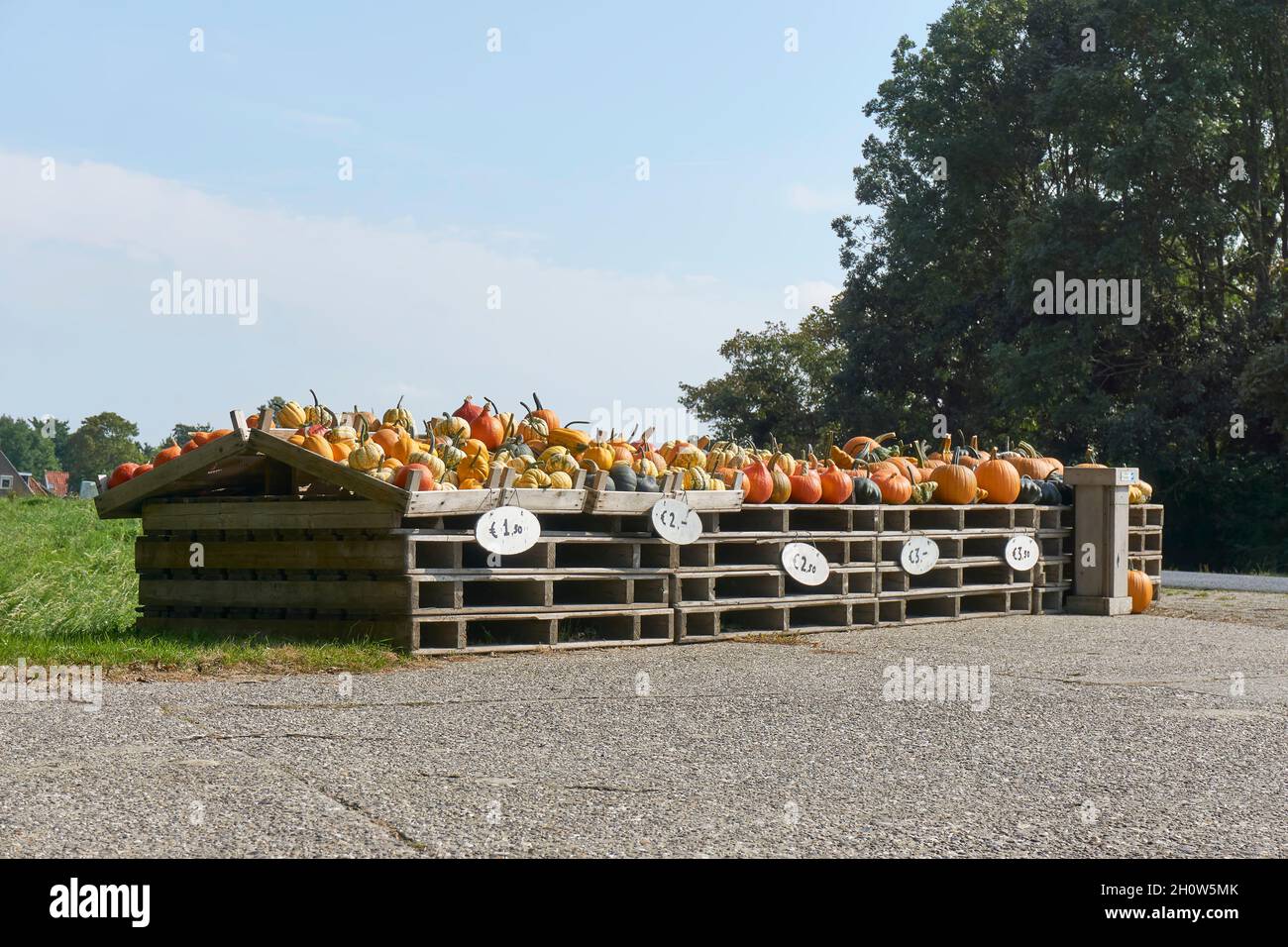 Gourdes en vente sur un marché agricole en automne. Divers types, tailles et variétés de gourdes dans des caisses en bois avec des étiquettes de prix. Banque D'Images