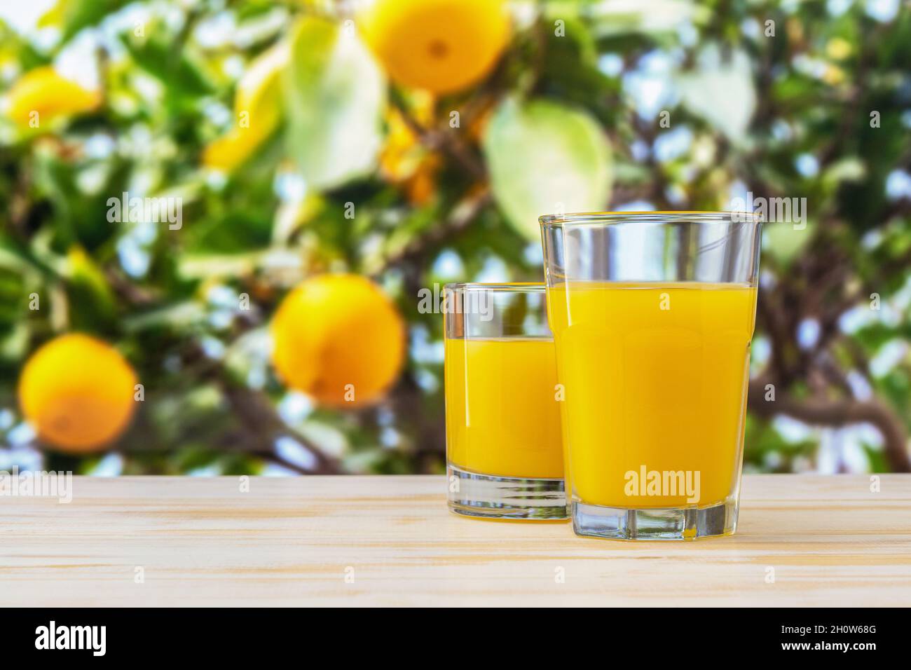 Deux verres de jus d'orange sur fond de nature. Concept fruit. Banque D'Images