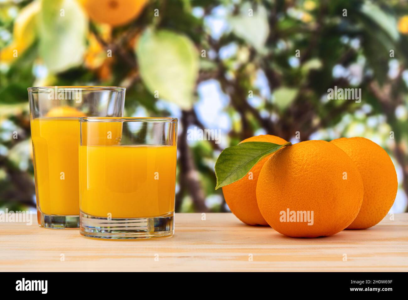 Deux verres de jus d'orange sur fond de nature. Concept fruit. Banque D'Images