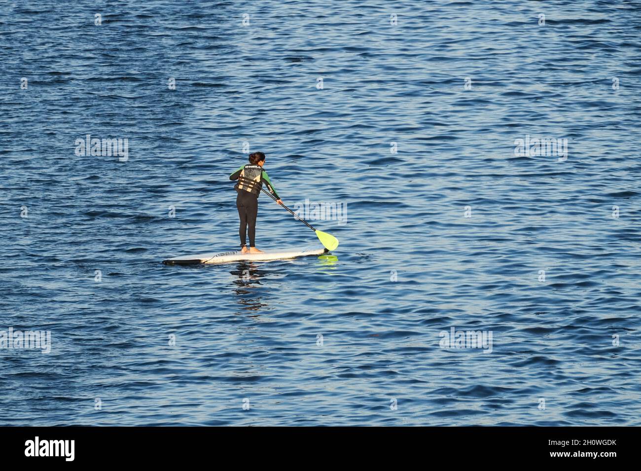 Paddleboard à Royal Victoria Dock, Londres Angleterre Royaume-Uni Banque D'Images