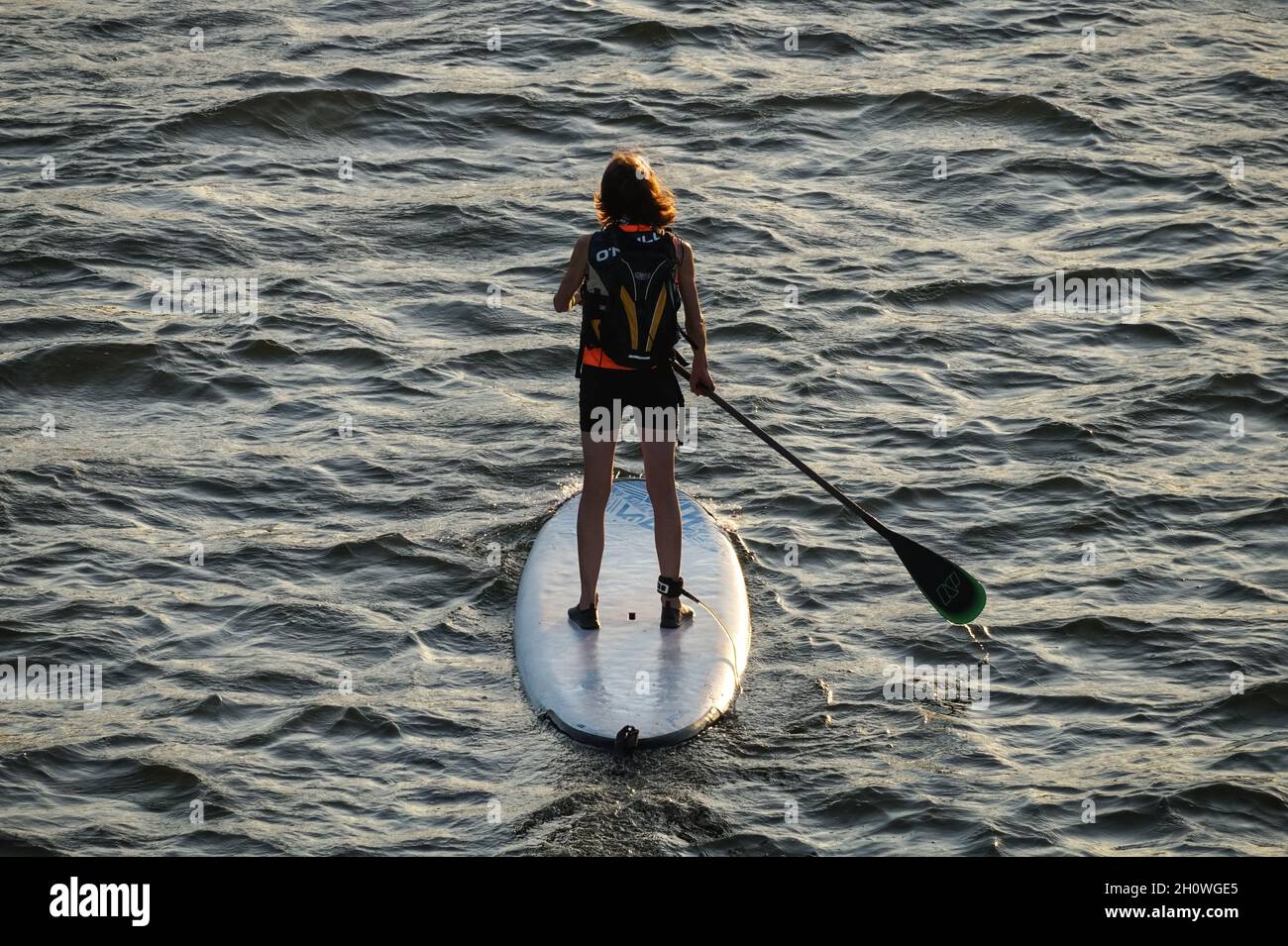 Paddleboard à Royal Victoria Dock, Londres Angleterre Royaume-Uni Banque D'Images