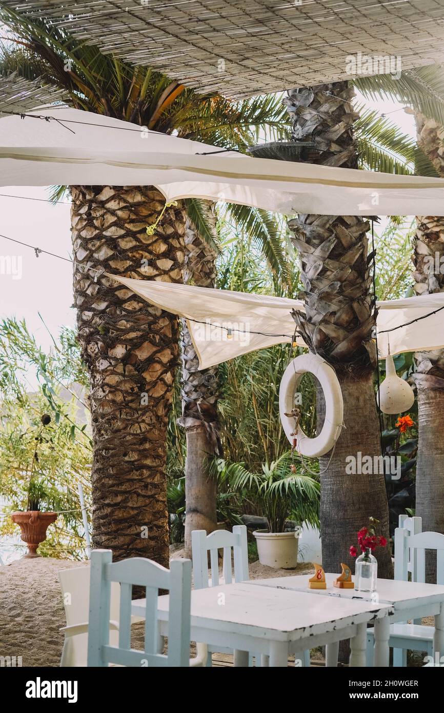 Terrasse avec tables et chaises en bois blanc et palmiers Banque D'Images