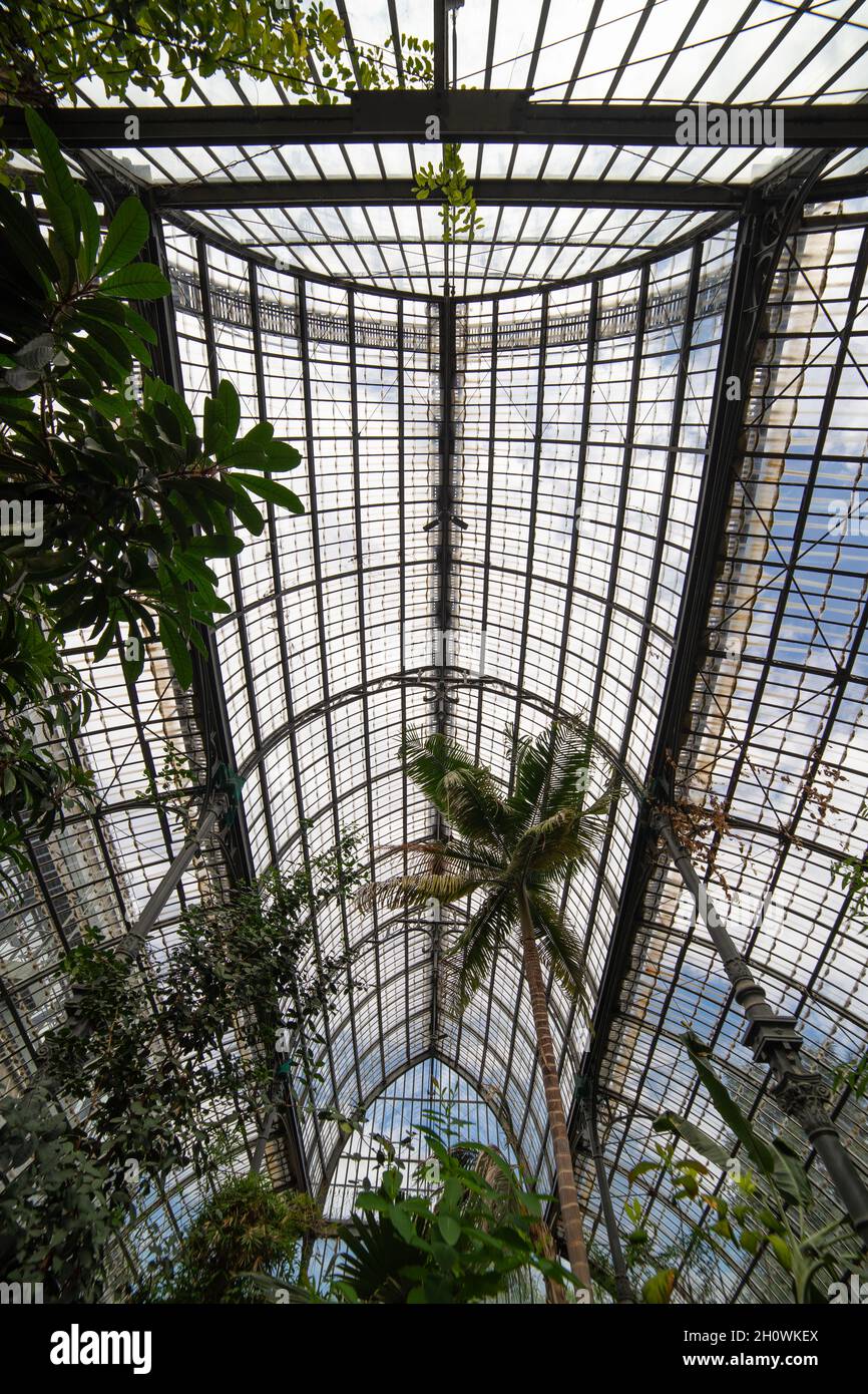 A l'intérieur de la serre dans le parc de la tête dorée (Parc de la tête d'Or) à Lyon, France. Banque D'Images