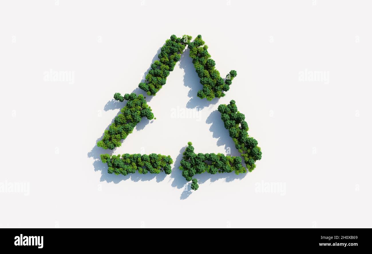 Symbole de recyclage à base d'arbres Banque D'Images
