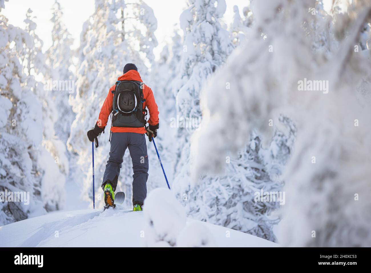 Vue arrière du ski de fond Banque D'Images