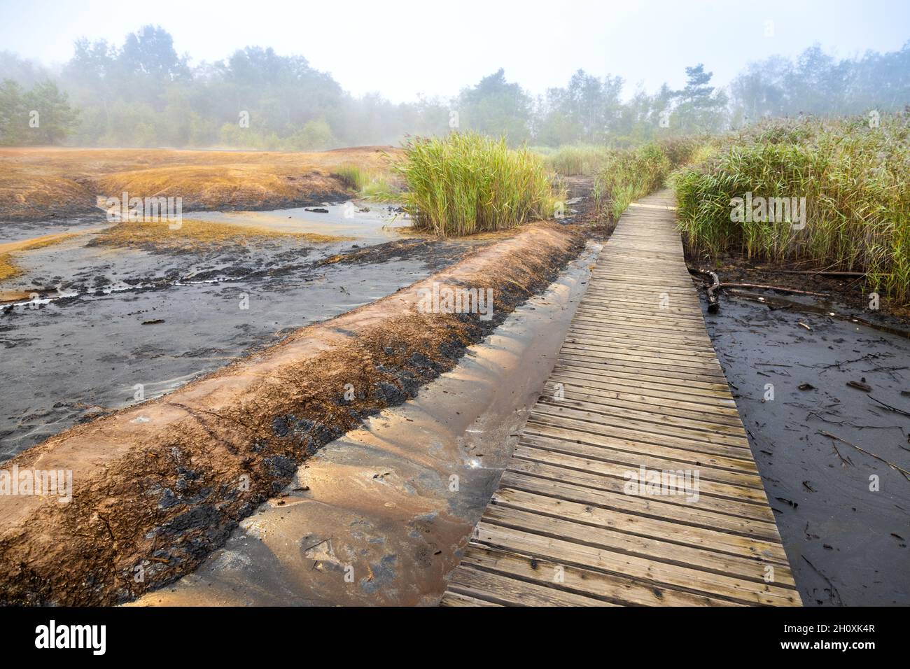 narodni prirodni rezervace Geopark SOOS, Karlovarsky kraj, Ceska republika / réserve naturelle nationale SOOS, Bohême occidentale, république tchèque Banque D'Images