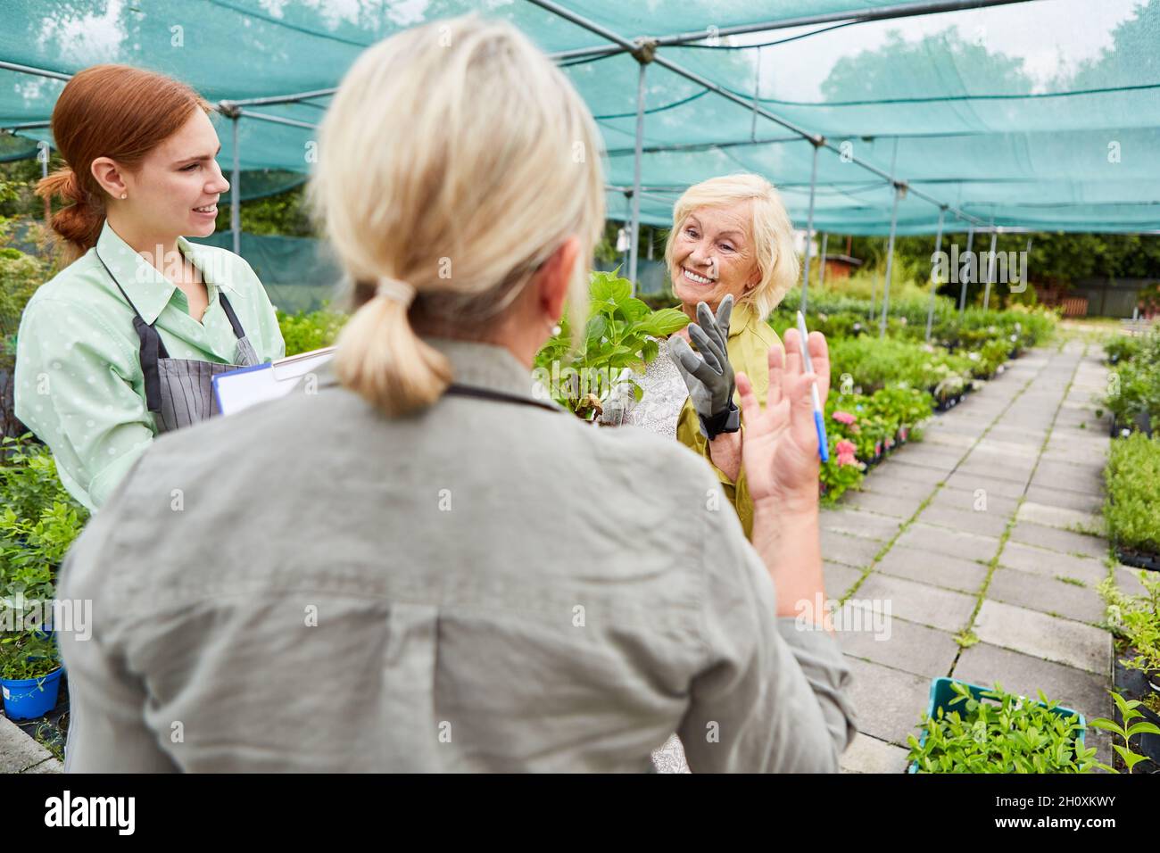 L'équipe de jardiniers dans la serre de pépinière discute des soins de plantes Banque D'Images
