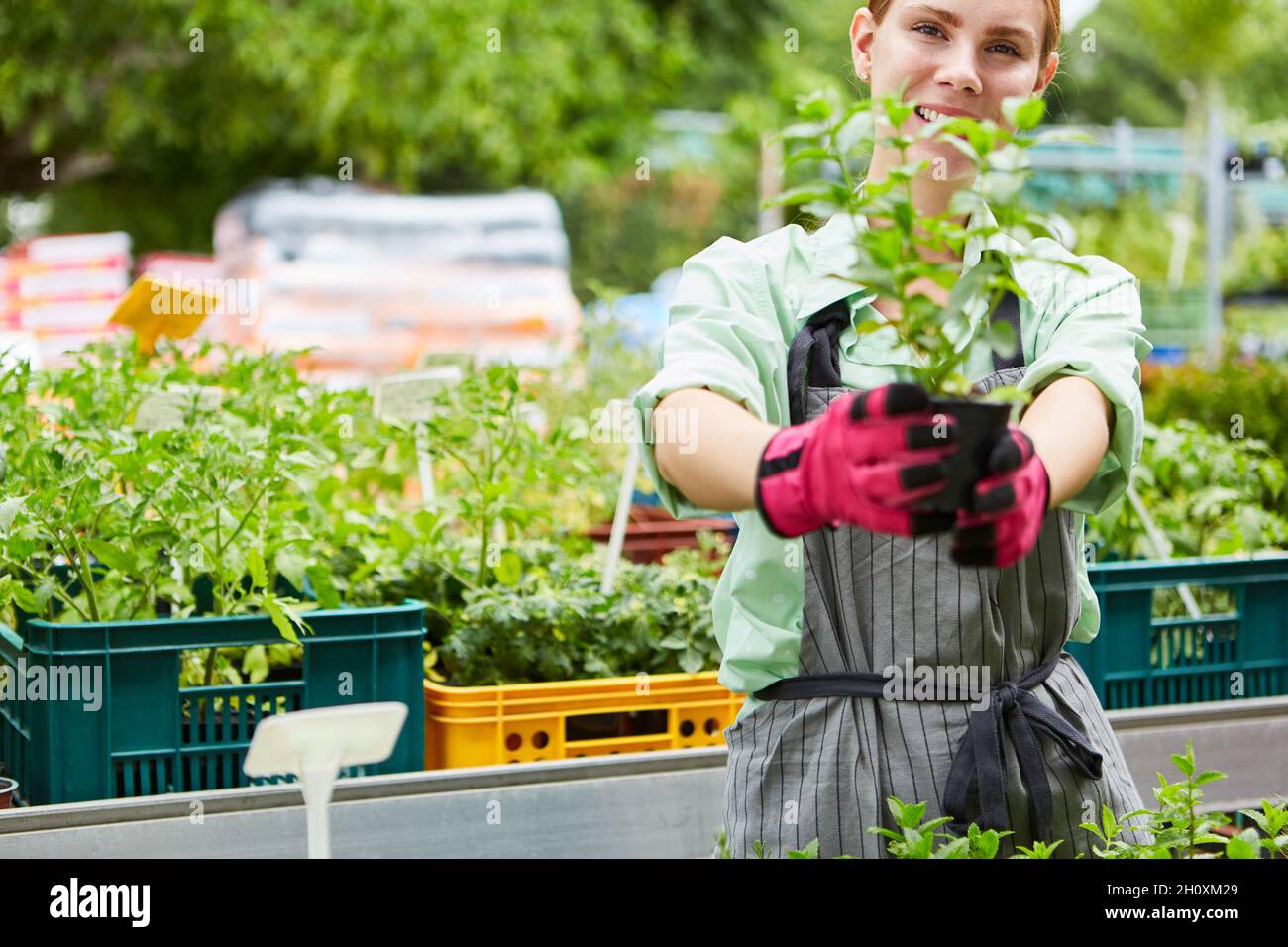 Jeune femme en tant que stagiaire de jardinier avec une fleur en offre spéciale dans le centre du jardin Banque D'Images