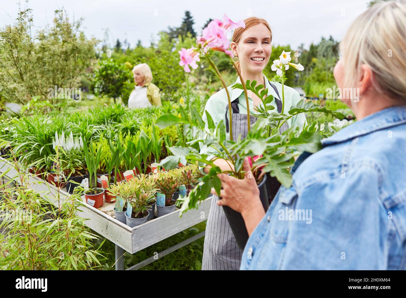 Jeune femme en tant que fleuriste conseillant le client sur l'achat de fleurs dans le centre de jardin Banque D'Images