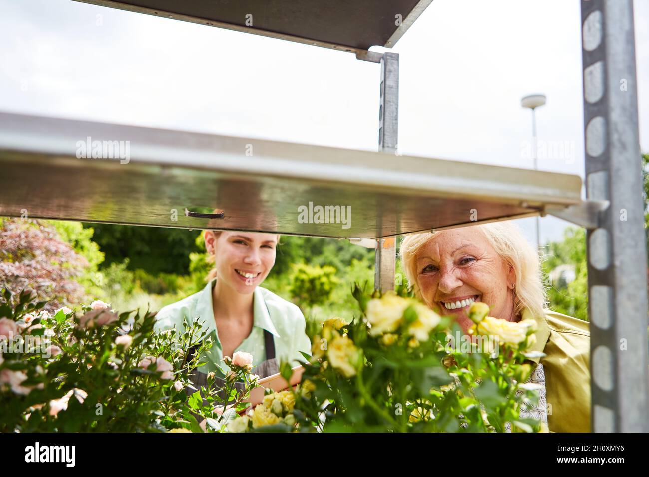 Équipe de pépinière prenant soin des fleurs et des plantes dans la boutique de fleurs ou le centre de jardin Banque D'Images