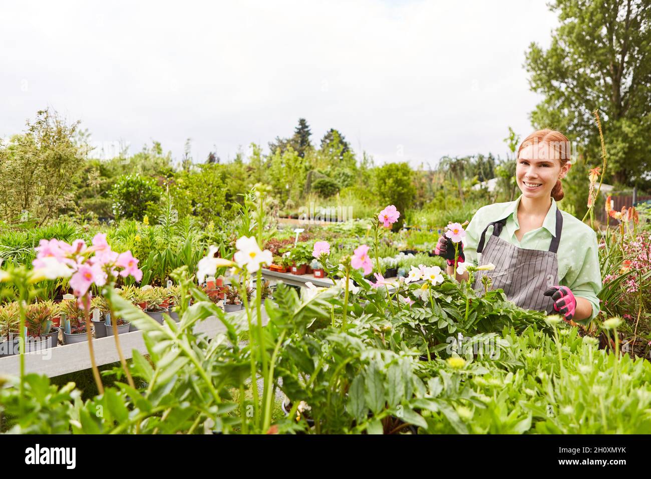 Jeune femme en tant que stagiaire de jardinier dans le soin des plantes et des fleurs dans le centre de jardin Banque D'Images