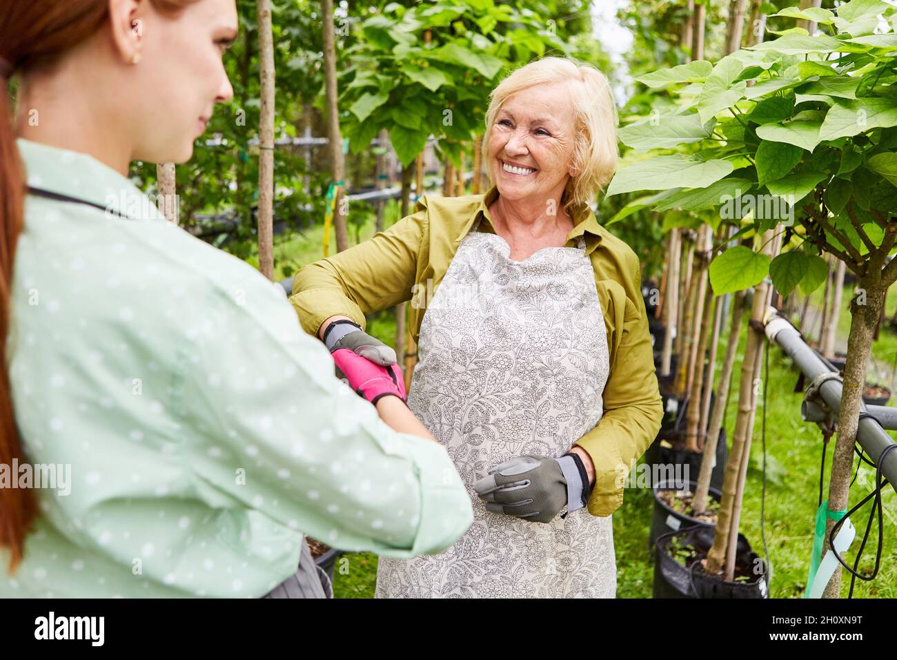 Femme âgée en tant que jardinière et stagiaire de jardinier pendant la poignée de main dans la pépinière de la pépinière Banque D'Images