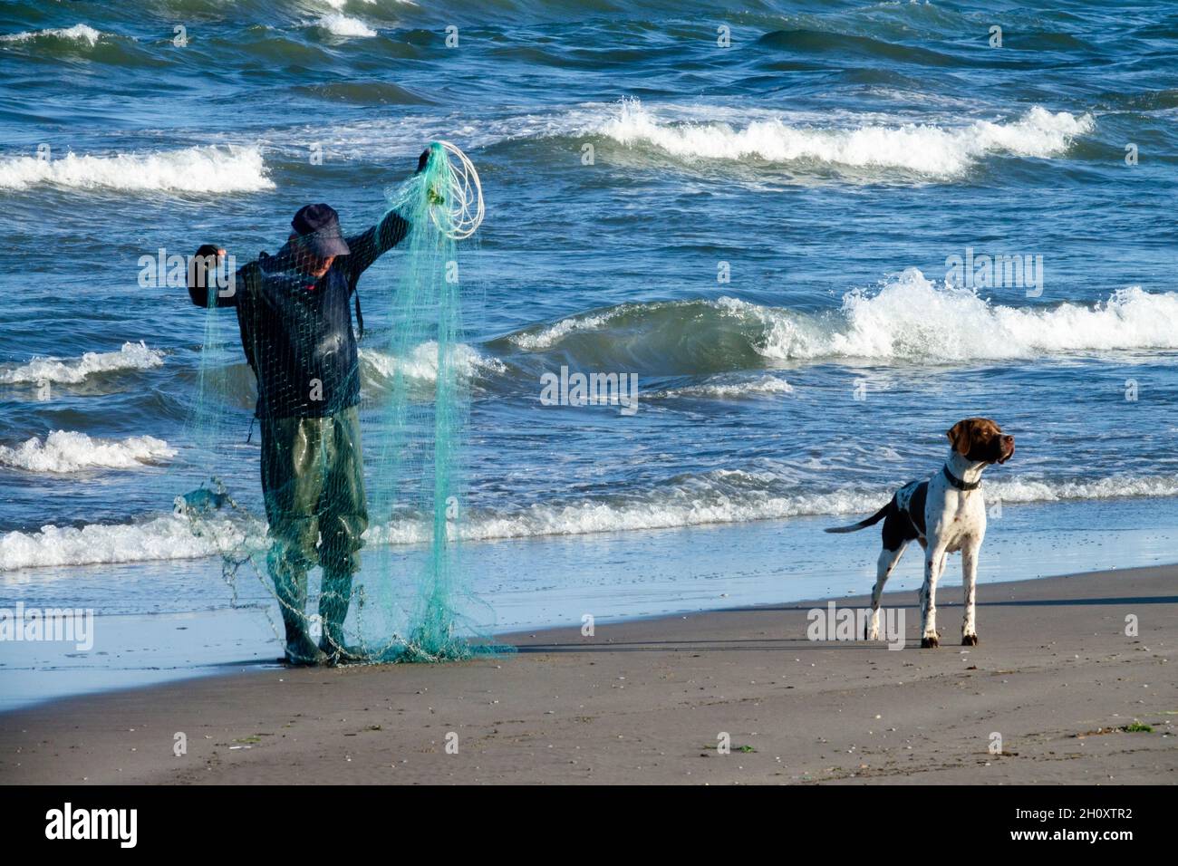 Espagne retraité homme avec filet de poisson et chien sur une plage Valence Espagne pêcheur, homme et chien Banque D'Images
