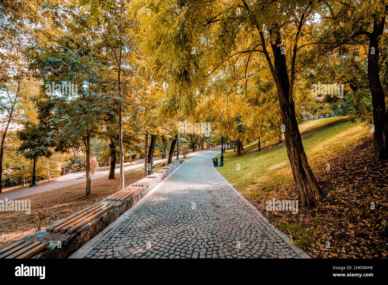 Parc avec arbres, sentiers et bancs en automne.Arbres jaunes en octobre. Banque D'Images