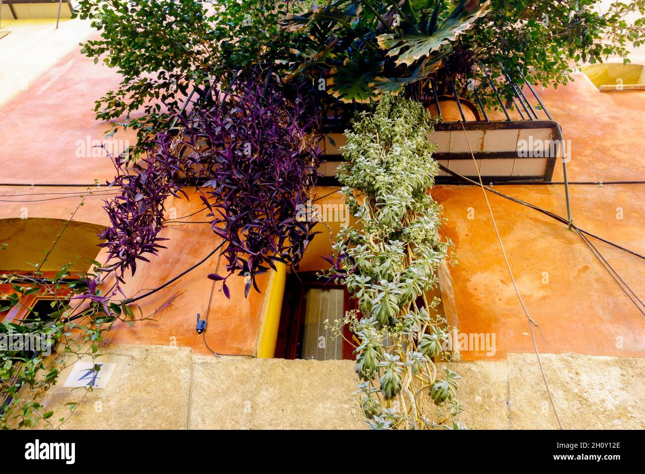 Valence Vieille ville Espagne façade colorée de la vieille maison et des plantes dans la rue étroite Ciutat Vella Valencia balcons plantes de balcon Banque D'Images