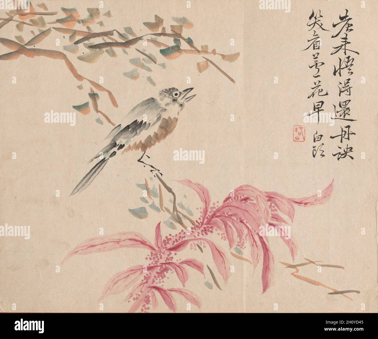 Épinard à la fraise et Nightingale, c.1845-54.Tsubaki Chinzan (japonais, 1801-1854).Encre et couleur sur papier; feuille : 28 x 34.4 cm (11 x 13 9/16 po.). Banque D'Images