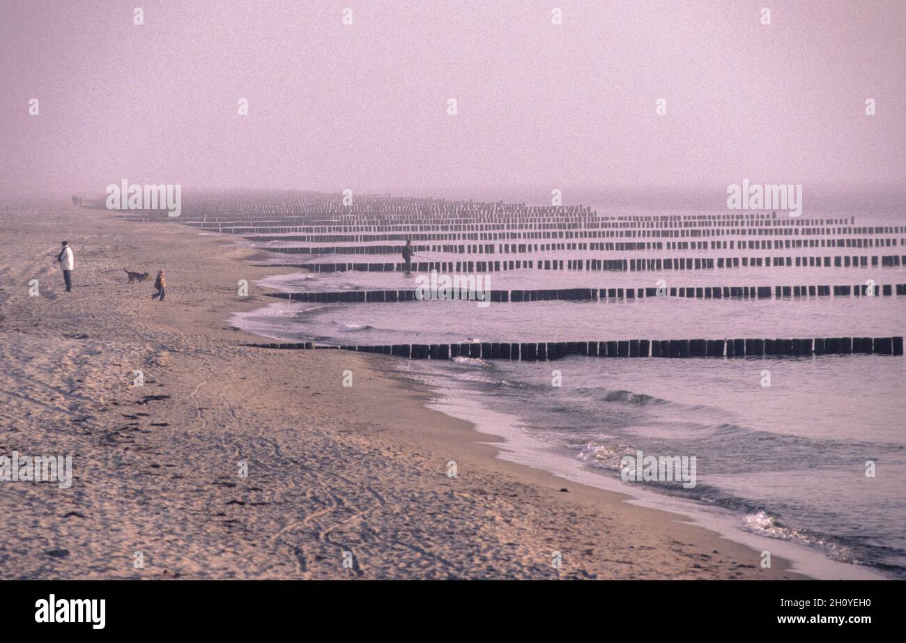 Les digues à éperon, ici vues à Ahrenshoop sur la péninsule de Darß, sont une vue commune le long du rivage de la côte allemande de la mer Baltique. Banque D'Images