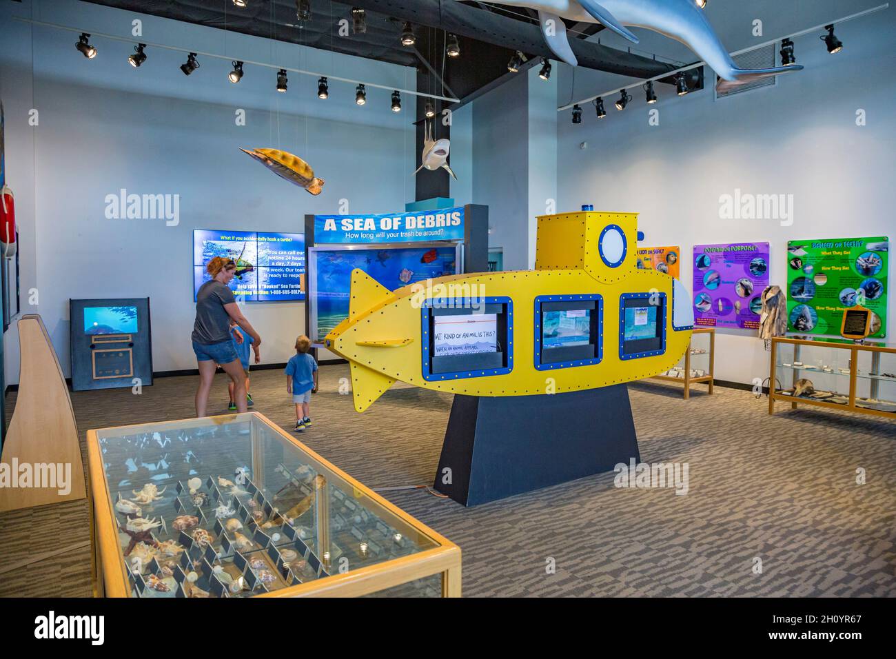 Expositions dans le musée IMMS au parc marin Ocean Adventures à Gulfport, Mississippi Banque D'Images