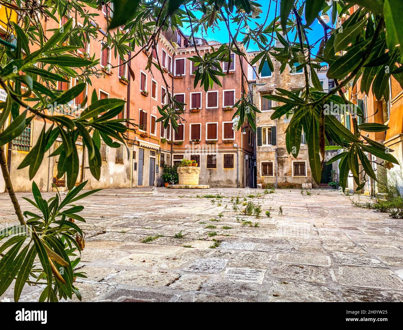 Vue sur une petite place de Venise sans personne, à travers les feuilles.Italie Banque D'Images