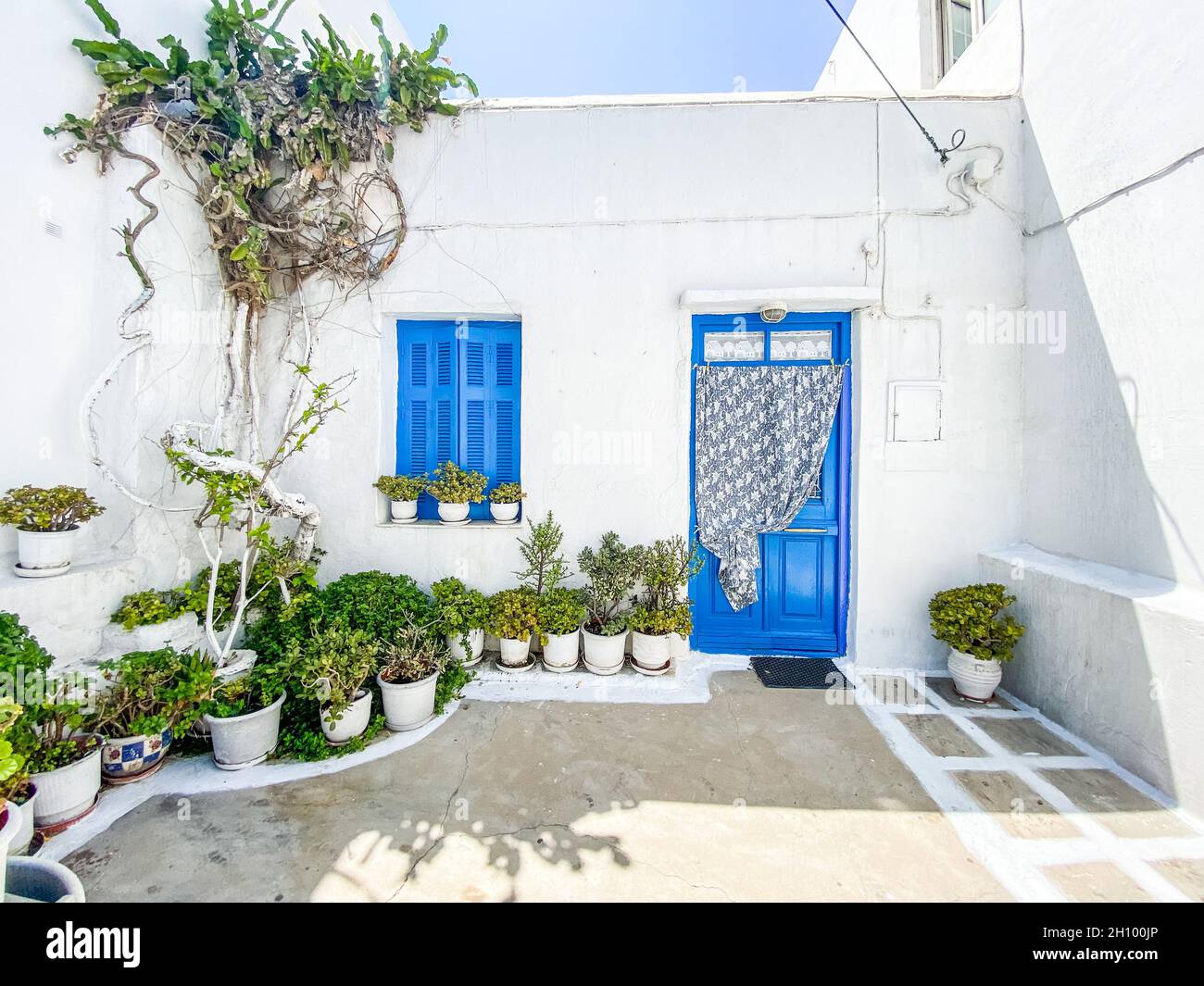 Cour grecque typique avec mur blanc, porte bleue et beaucoup de plantes à décorer Banque D'Images