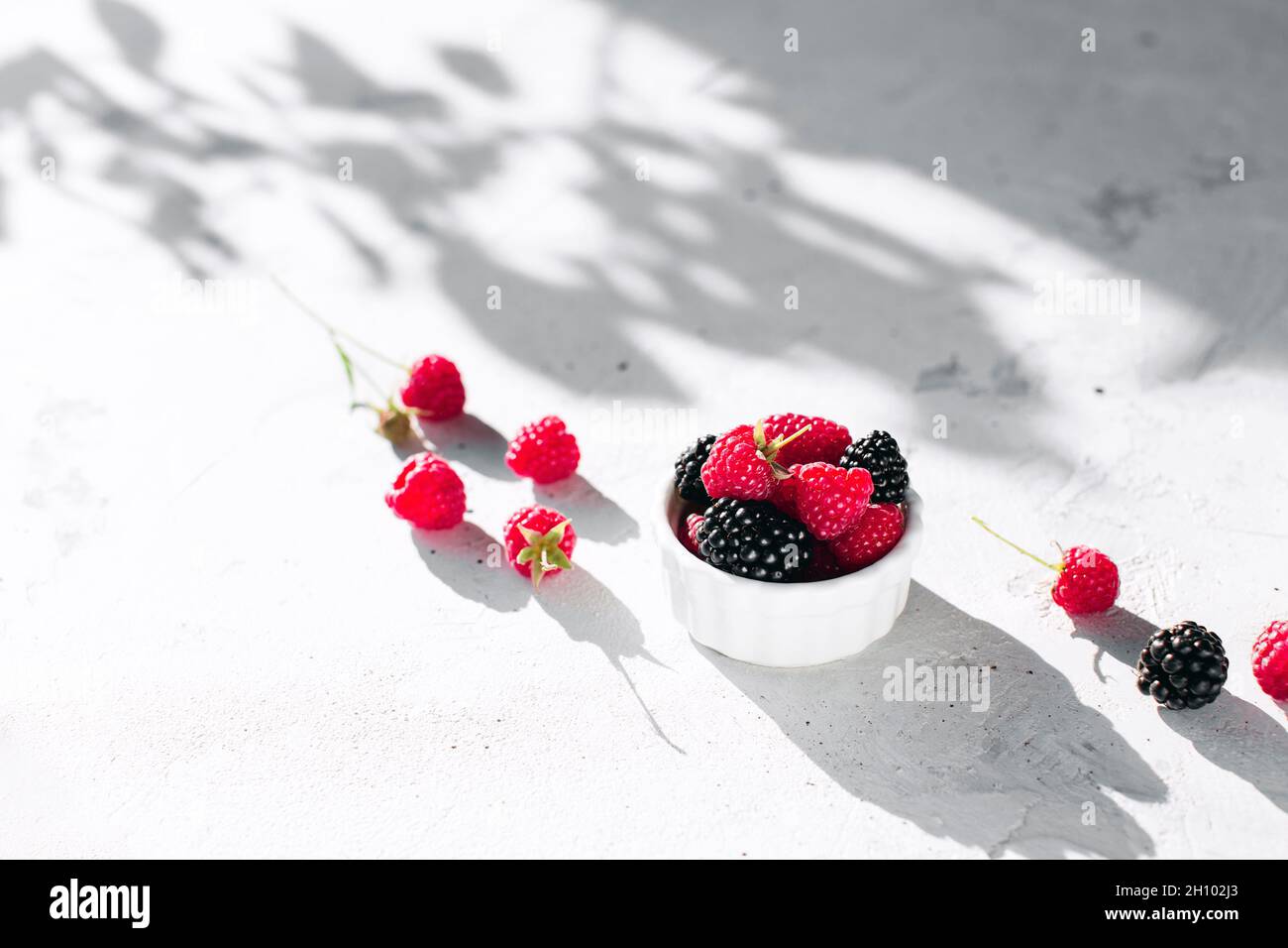 Bol avec framboises et mûres sur une table en béton gris avec ombre de feuilles Banque D'Images