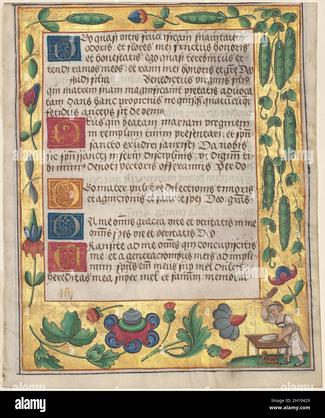 Feuille d'un Psautre et d'un PrayerBook: Bordure ornementale avec des pins de pois et un pain de pétrissage de fille (recto), c.1524. Allemagne, Hildesheim(?), XVIe siècle.Encre, tempera et or liquide sur vélin; chaque feuille: 16.6 x 13.5 cm (6 9/16 x 5 5/16 po).Cette feuille et celle à proximité ont été excisées du même livre de prière.Ils révèlent les motifs séculiers préférés qui comprennent des décorations avec des animaux, des paysans, et des activités domestiques telles que la cuisine.Ici, une femme est présentée pour pétrir du pain.Un texte composite combinant les caractéristiques d'un psautre, une collection de psaumes ou de versets religieux, et un livre de prière, il a été utilisé Banque D'Images